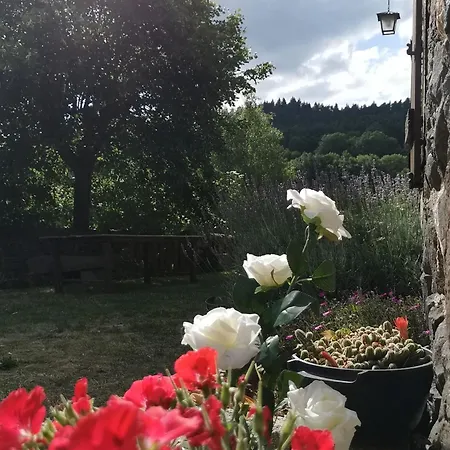 Maison Familiale Confortable, Animaux Admis, Parking Sur Place - Fr-1-582-537 Casa de Campo
