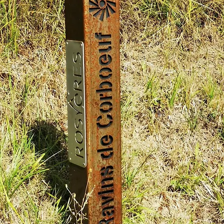 Maison Familiale Confortable, Animaux Admis, Parking Sur Place - Fr-1-582-537